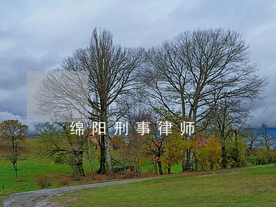 绵阳刑事律师 绵阳刑事律师