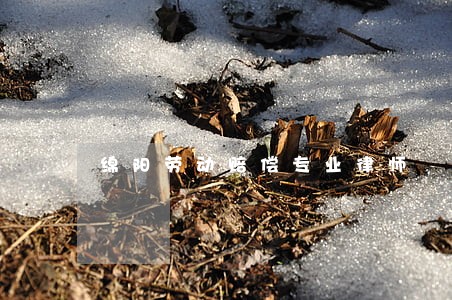 绵阳劳动赔偿专业律师 绵阳劳动赔偿专业律师