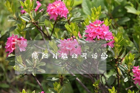 绵阳川能公司诉讼