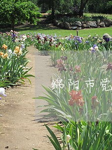 绵阳市党风廉政建设法规汇编 绵阳市党风廉政建设法规汇编