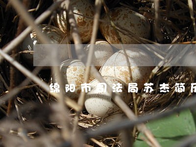 绵阳市司法局苏杰简历