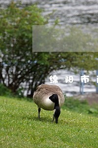 绵阳市商业银行逾期贷款 绵阳市商业银行逾期贷款