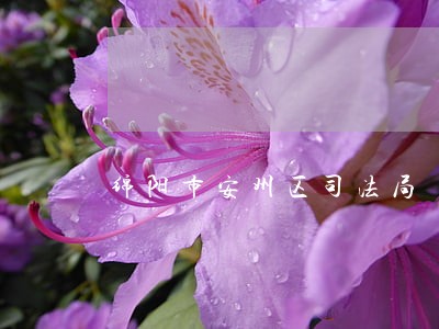 绵阳市安州区司法局 绵阳市安州区司法局