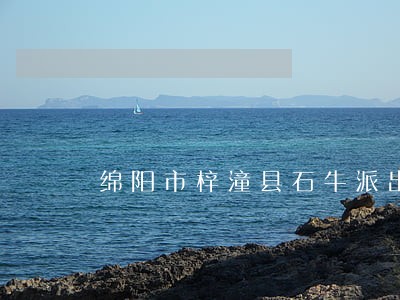 绵阳市梓潼县石牛派出所司法调解 绵阳市梓潼县石牛派出所司法调解