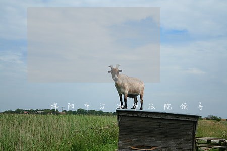 绵阳市江油市法院领导 绵阳市江油市法院领导