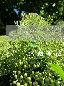 绵阳市法院联系电话