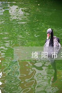 绵阳市环保违法违规 绵阳市环保违法违规
