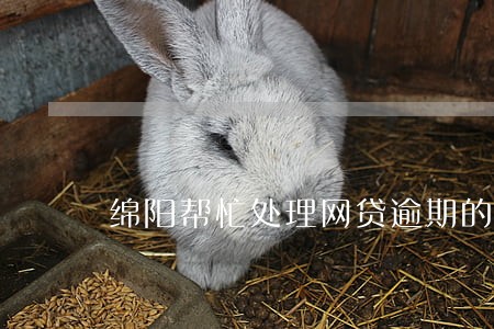 绵阳帮忙处理网贷逾期的人 绵阳帮忙处理网贷逾期的人