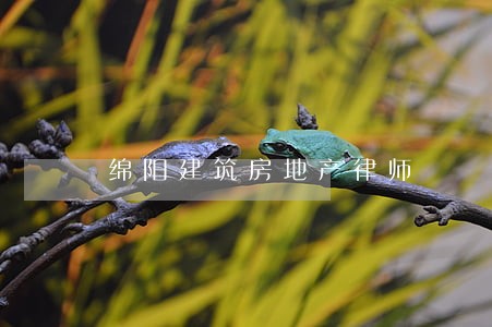 绵阳建筑房地产律师 绵阳建筑房地产律师