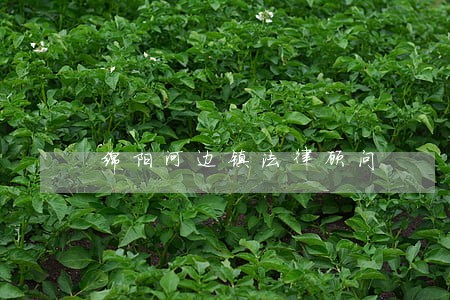 绵阳河边镇法律顾问