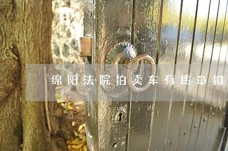 绵阳法院拍卖车有违章扣分