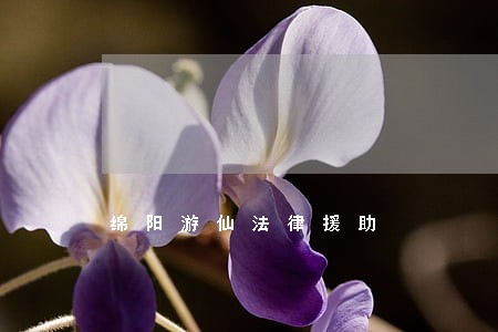 绵阳游仙法律援助