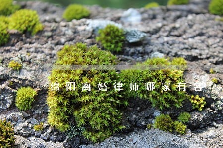 绵阳离婚律师哪家有名 绵阳离婚律师哪家有名