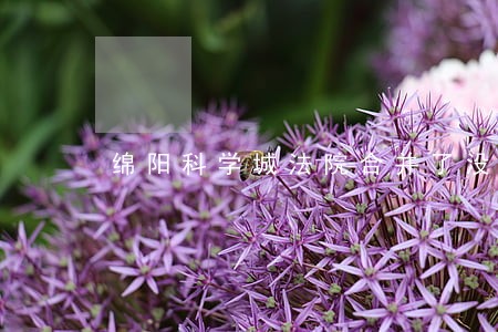绵阳科学城法院合并了没 绵阳科学城法院合并了没