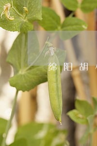 绵阳胡小波律师网