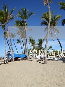 绵阳西城国际二期违法 绵阳西城国际二期违法