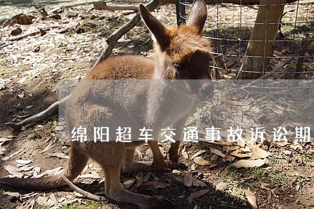 绵阳超车交通事故诉讼期限 绵阳超车交通事故诉讼期限