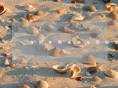 绵阳车辆逾期处罚标准 绵阳车辆逾期处罚标准