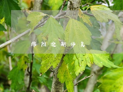 绵阳逾期修复 绵阳逾期修复
