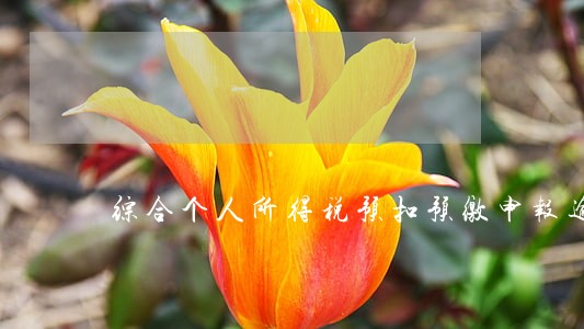综合个人所得税预扣预缴申报逾期