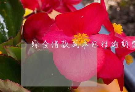 综合借款成本包括逾期费用吗 综合借款成本包括逾期费用吗