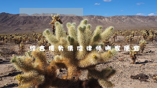 综合债务清偿律师哪家便宜
