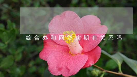综合办和网贷逾期有关系吗 综合办和网贷逾期有关系吗