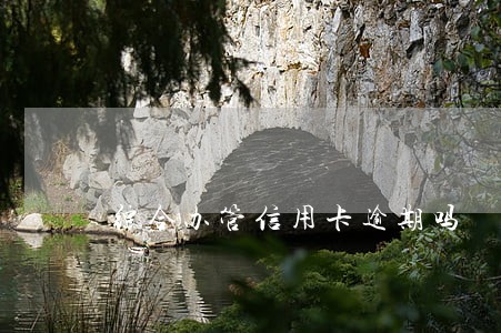 综合办管信用卡逾期吗