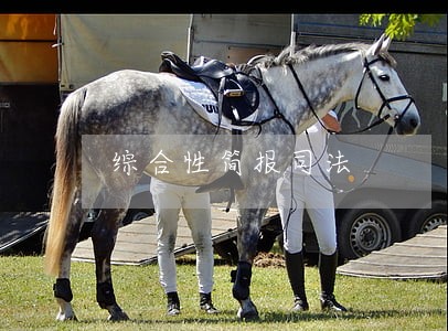 综合性简报司法 综合性简报司法
