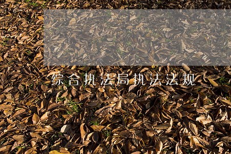 综合执法局执法法规 综合执法局执法法规
