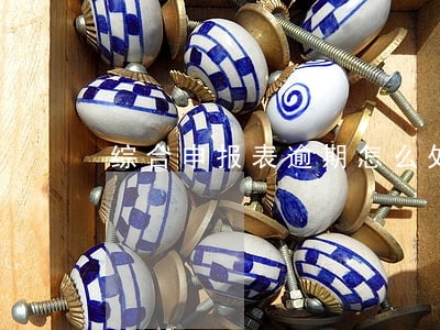 综合申报表逾期怎么处理 综合申报表逾期怎么处理