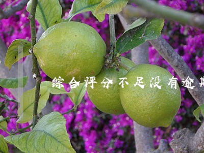 综合评分不足没有逾期能用的网贷 综合评分不足没有逾期能用的网贷