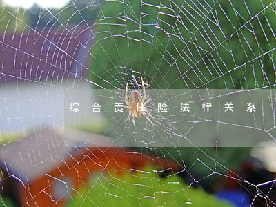 综合责任险法律关系 综合责任险法律关系