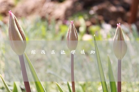 综改区法律援助 综改区法律援助