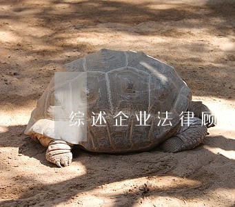 综述企业法律顾问考试 综述企业法律顾问考试