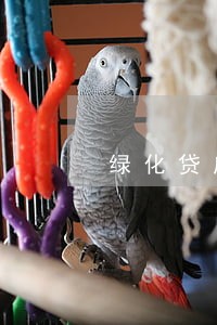 绿化贷应回款本金逾期 绿化贷应回款本金逾期