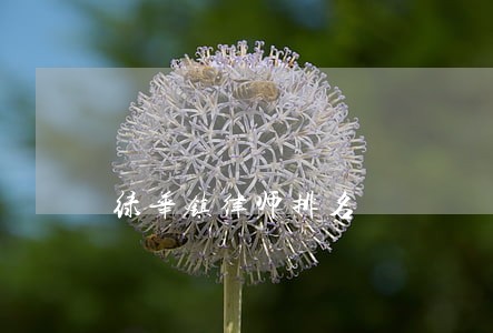 绿华镇律师排名 绿华镇律师排名