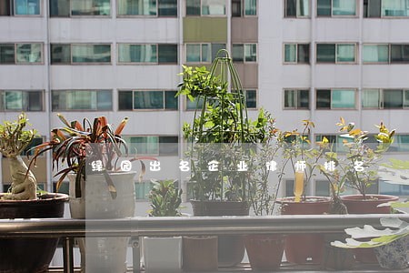 绿园出名企业律师排名 绿园出名企业律师排名
