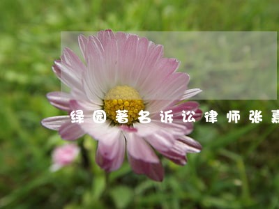 绿园著名诉讼律师张嘉良 绿园著名诉讼律师张嘉良