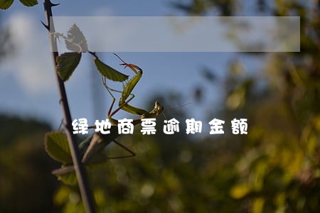 绿地商票逾期金额 绿地商票逾期金额