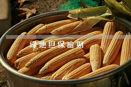 绿地担保逾期 绿地担保逾期
