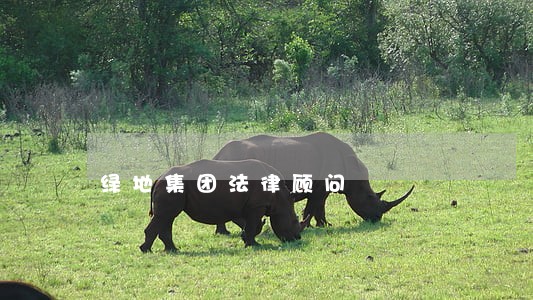 绿地集团法律顾问 绿地集团法律顾问