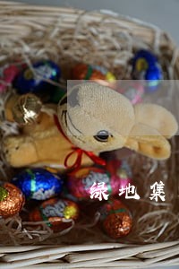 绿地集团逾期公告 绿地集团逾期公告