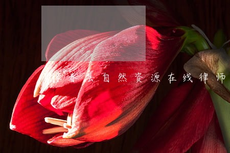 绿春县自然资源在线律师 绿春县自然资源在线律师