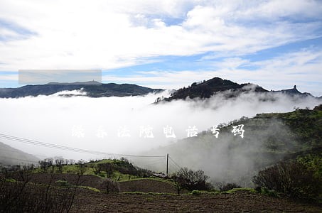 绿春法院电话号码