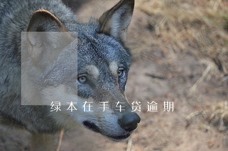 绿本在手车贷逾期 绿本在手车贷逾期