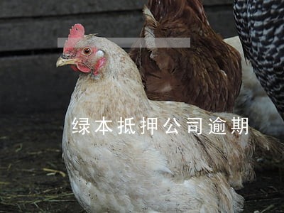 绿本抵押公司逾期 绿本抵押公司逾期