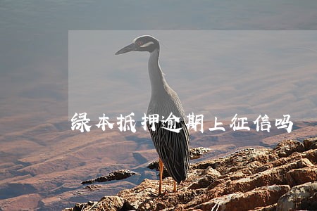 绿本抵押逾期上征信吗