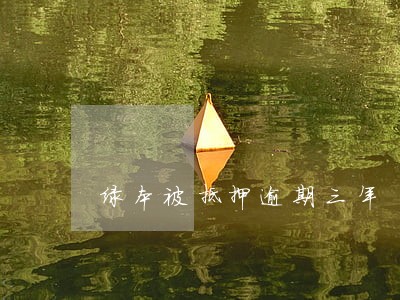 绿本被抵押逾期三年 绿本被抵押逾期三年
