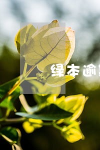 绿本逾期不给协商怎么办 绿本逾期不给协商怎么办